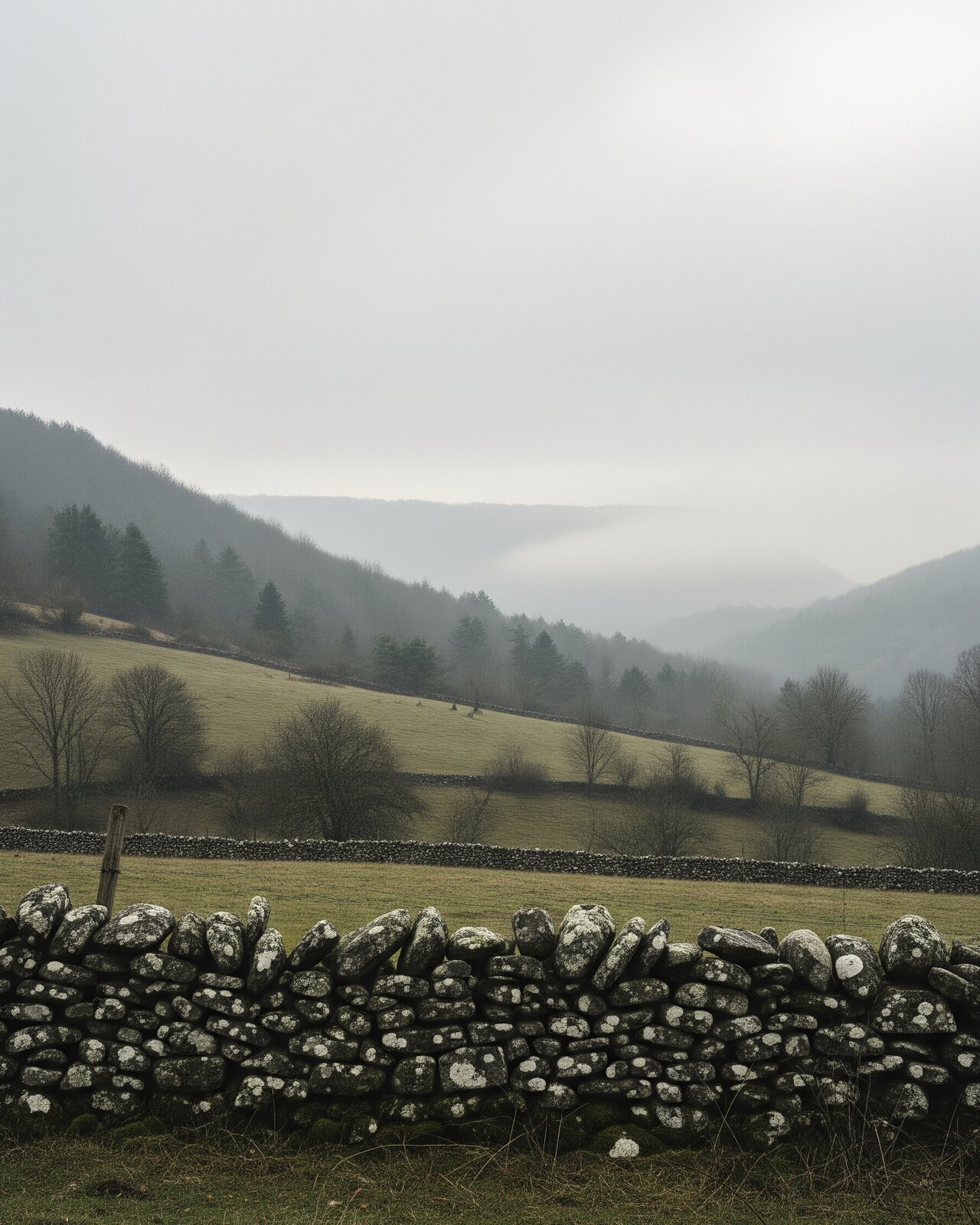 Pentes des monts de Lacaune dans la brume du matin, murets de pierre sèche